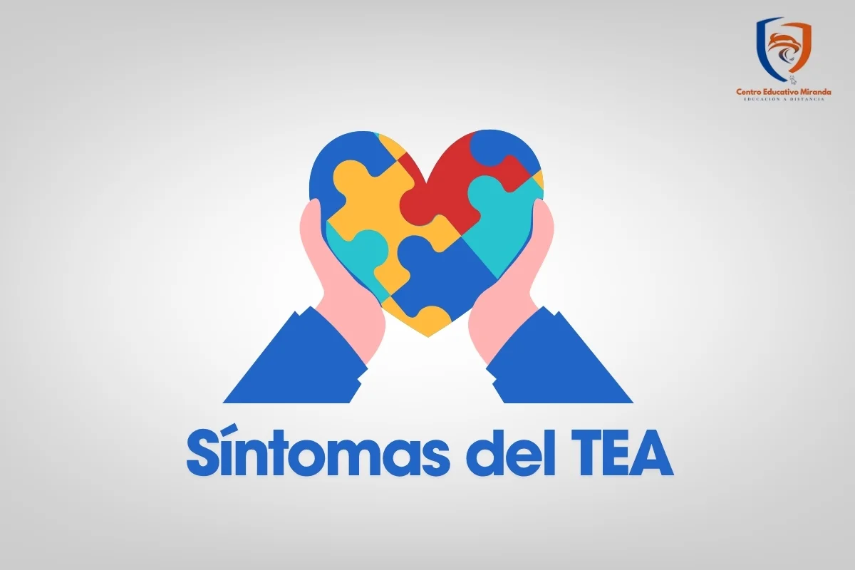 Ilustración esquemática de las dimensiones del TEA: comunicación, lenguaje, rutinas y procesamiento sensorial